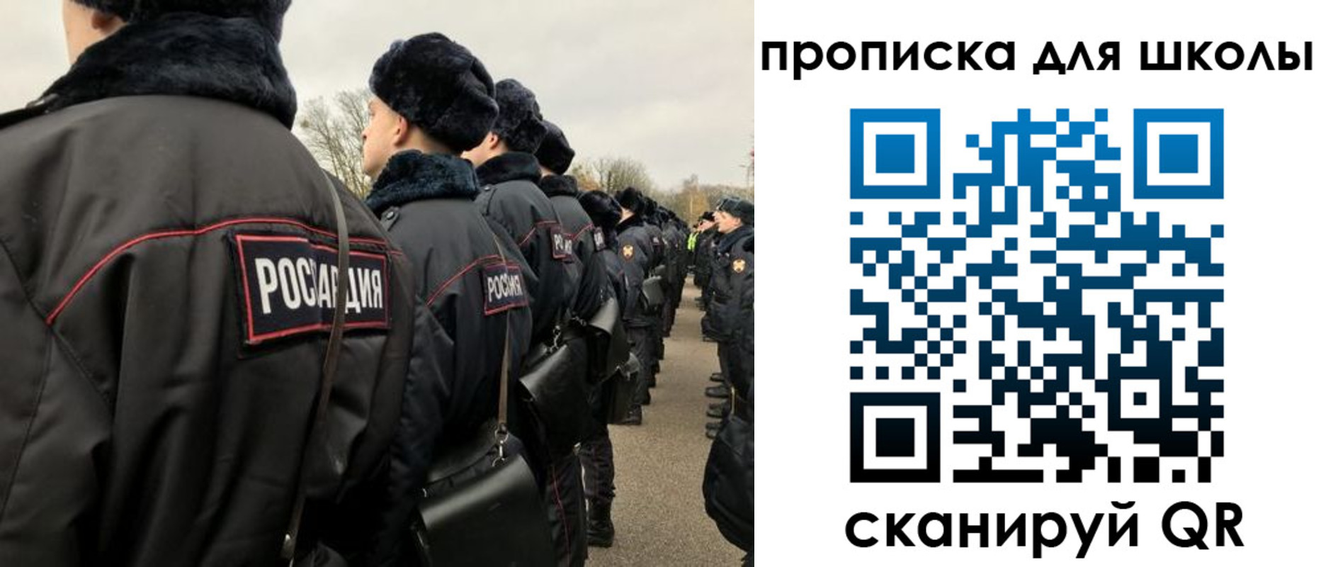 где прописаться в Волосово